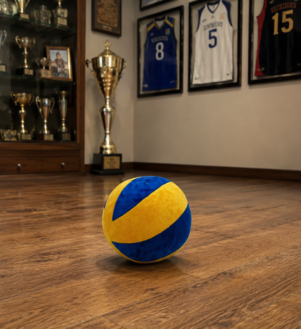 InKasa Ball